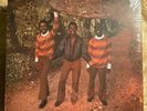THE MAYTALS monkey man MUSIC ON VINYL/TROJAN europe NM/NM 180gram