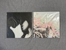 [New and sealed] Taeyeon - What Do I Call You? and To. X LP Vinyls