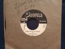 JUNIOR WELLS Autographed Little By Little 45 rpm 1960) Profile CHICAGO BLUES VG+