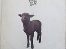 Skyhooks - Straight In A Gay Gay World - 1976 Mushroom LP with Poster