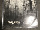 The Cure – A Forest 12