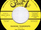 The Demures - Raining Teardrops / The Sly, Slick, And The Wicked, 7