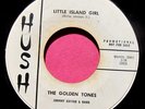 THE GOLDEN TONES - Little Island Girl / Doreetha - clean Promo 45 rpm - Hush 101