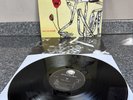 LP VINYL NIRVANA ALBUM INCESTICIDE ALBUM GEF24504 EUROPE IST PRESS 1992 EX+/EX+