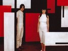 The White Stripes - De Stijl Vinyl, LP, Album, Limited Edition, Reissue, 180g