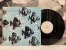 Grab Grab The Haddock – Three Songs By 12