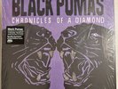 BLACK PUMAS – CHRONICLES OF A DIAMOND - SPOTIFY COLOR LTD ED VINYL LP VG+ -A2