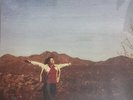Fiddlehead - Springtime And Blind LP Colored Vinyl NEW PUNK RECORD Have Heart
