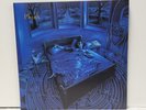 Rift by Phish (Record, 2015) Deluxe Colored Vinyl Numbered 3037 WELKER Print NM