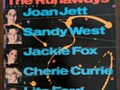 The Runaways /The Best of runaways/mercury/Vinyl LP/SRM-1-4052/Polygram Records
