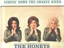 HONEYS-RARE PICTURE SLEEVE ONLY--(SURFIN' DOWN THE SWANEE RIVER)--PS--PIC--SLV