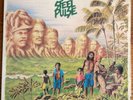 STEEL PULSE TRIBUTE TO THE MARTYRS ISLAND RECORDS ILPS9568 UK 1979 NM FREE POST