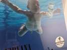 BRAND NEW/SEALED NIRVANA Nevermind Vinyl (DGC/PALLAS 180gram GERMAN AUDIOPHILE)