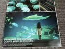 Bring Me The Horizon – Count Your Blessings Vinyl Record BLACK 2016