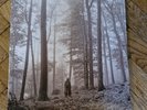 Taylor Swift - Folklore 2xLP Brown Vinyl In The Trees Deluxe Edition 2020 Ex/Ex