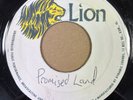 THE MINORS - PROMISED LAND - JAMAICAN LION LABEL BLANK - TOP ROOTS RARITY -CLIP