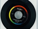 THE BEATLES From Me to You / Thank You Girl 63-3218 Vee Jay Records 1963