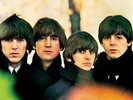 THE BEATLES Beatles For Sale Vinyl Record Album LP Parlophone 2017 Stereo & Rock
