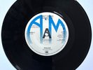 THE POLICE Can't Stand Losing You 1978 promo single black vinyl blue A&M logo