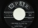 Northern Soul 45 - Herbert Hunter - I Was Born To Love You - Spar