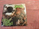 Impaled The Dead Still Dead AUTOPSY MASSACRE DEATH CANNIBAL CORPSE DEATH