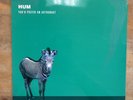 ORIGINAL 1995 HUM - You'd Prefer An Astronaut, Vinyl LP, RARE Cargo/12 Inch Rec.