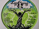Rare Lovers Rock Reggae 45 Elizabeth Archer & The Equators Feel Like Making Love