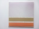 Streetlight Manifesto SOMEWHERE IN THE BETWEEN Vinyl LP Repress Victory VR329-1