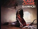 Ozzy Osbourne Blizzard Of Ozz (180 Gram Vinyl, Remastered) Records & LPs New
