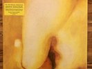 Smashing Pumpkins Pisces Iscariot Vinyl LP Record New Grunge Alternative Rock