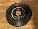 The Beatles 45 7 Inch - Please Please Me / Ask Me Why - Vee-Jay 498 Audio Matrix