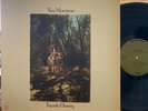 Van Morrison Tupelo Honey Vinyl LP WB WS 1950 1st Pressing Wild Night 1971