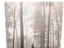 Taylor Swift Folklore In The Trees Edition Double Beige Vinyl Lp