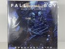 Fall Out Boy - Believers Never Die Greatest Hits 2xLP Record (Mint) (R1) NS#8637