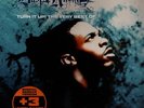 Busta Rhymes Turn it Up  The Very Best of NEAR MINT Rhino Records 2xVinyl LP