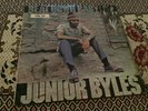 Junior Byles , Beat Down Babylon , Trojan Label.