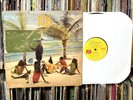 STEEL PULSE 