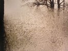 BON IVER - For Emma Forever Ago - Vinyl (LP)