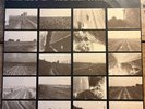 Swell Maps: In 