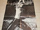 Van Halen/David Lee Roth Insert 1980 Women and Children First  24
