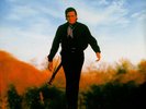 Johnny Cash - The Best In Black (Vinyl 2LP - EU - Reissue)