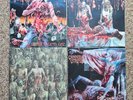 Cannibal Corpse Complete Discography on Vinyl (Metal Blade, NESI Pressings)