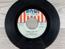 The Cherry Slush I Cannot Stop You / Don’t Walk Away 45 RPM PROMO 7” Vinyl USA