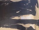 Ten by Pearl Jam. 2xLP (Record, 2009)  Reissue, Remastered, Remix.  180g.