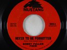 Garage 45 - Bobby Fuller Four - Never To Be Forgotten - Mustang