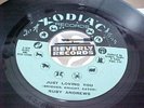 Ruby Andrews - Northern Soul Monster - Just Loving You / The Love I Need- Listen
