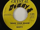 Scotty 