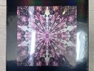 BLACKPINK – The Album LP Box Set