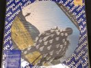 Pink Floyd ‎LP Vinyl Picture Disc Delicate Sound Of Thunder Brazilian Original