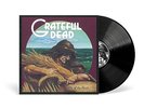 Grateful Dead Wake of the Flood (50th Anniversary Remaster) Records & LPs New